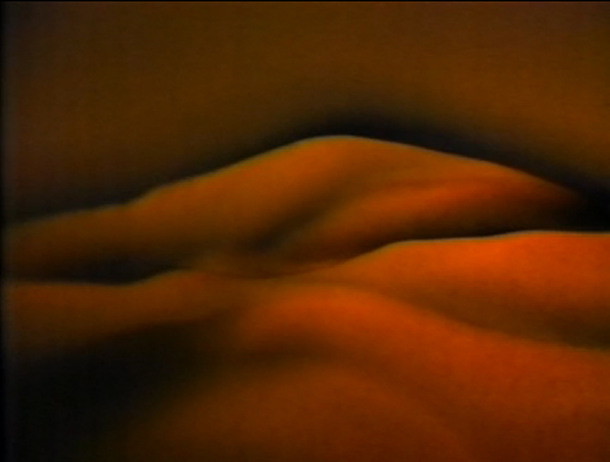 Desert / Пустыня, Нэн Хувер. Цветное видео, 12 мин. 35 сек. 1985